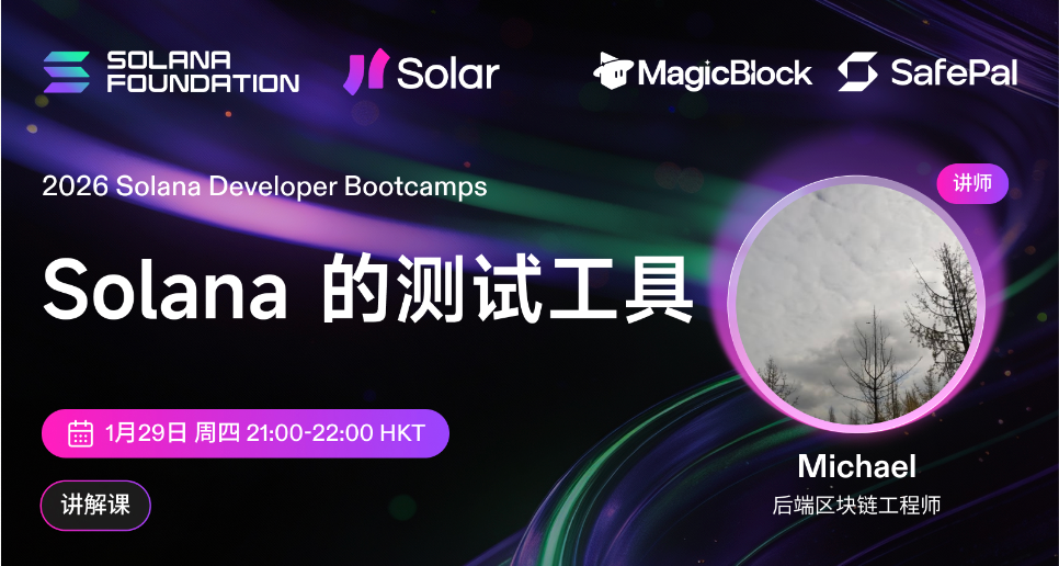 Solana 测试工具：LightSVM, surfpool, Mollusk