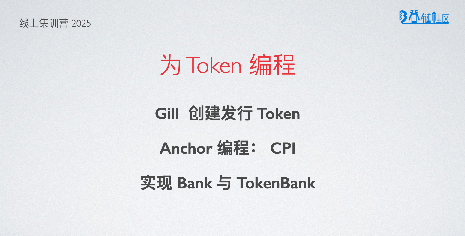 在程序上使用 SPL Token