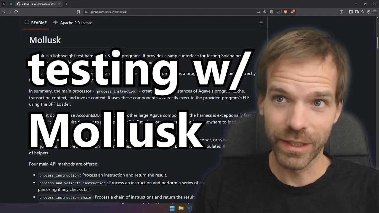 Mollusk 测试工具 [Solana 教程]